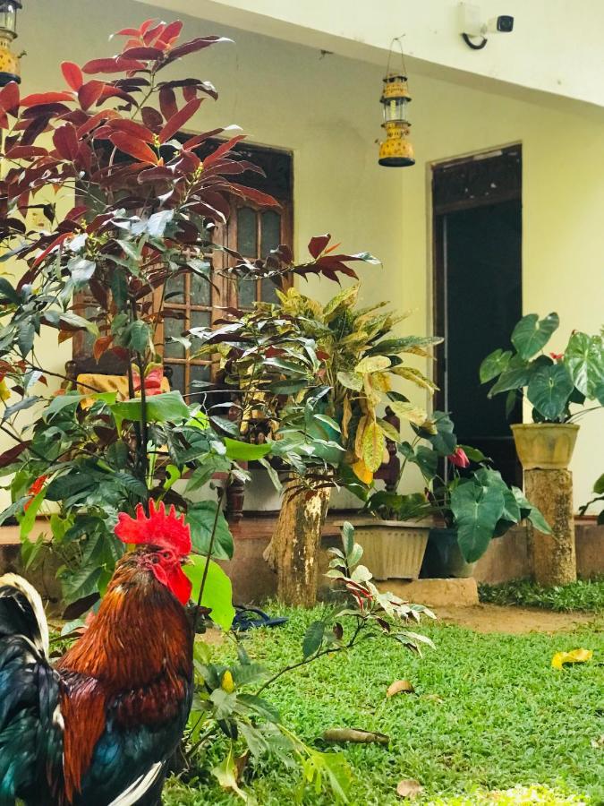 Sigiri Lakshan Home Stay Sigiriya Esterno foto