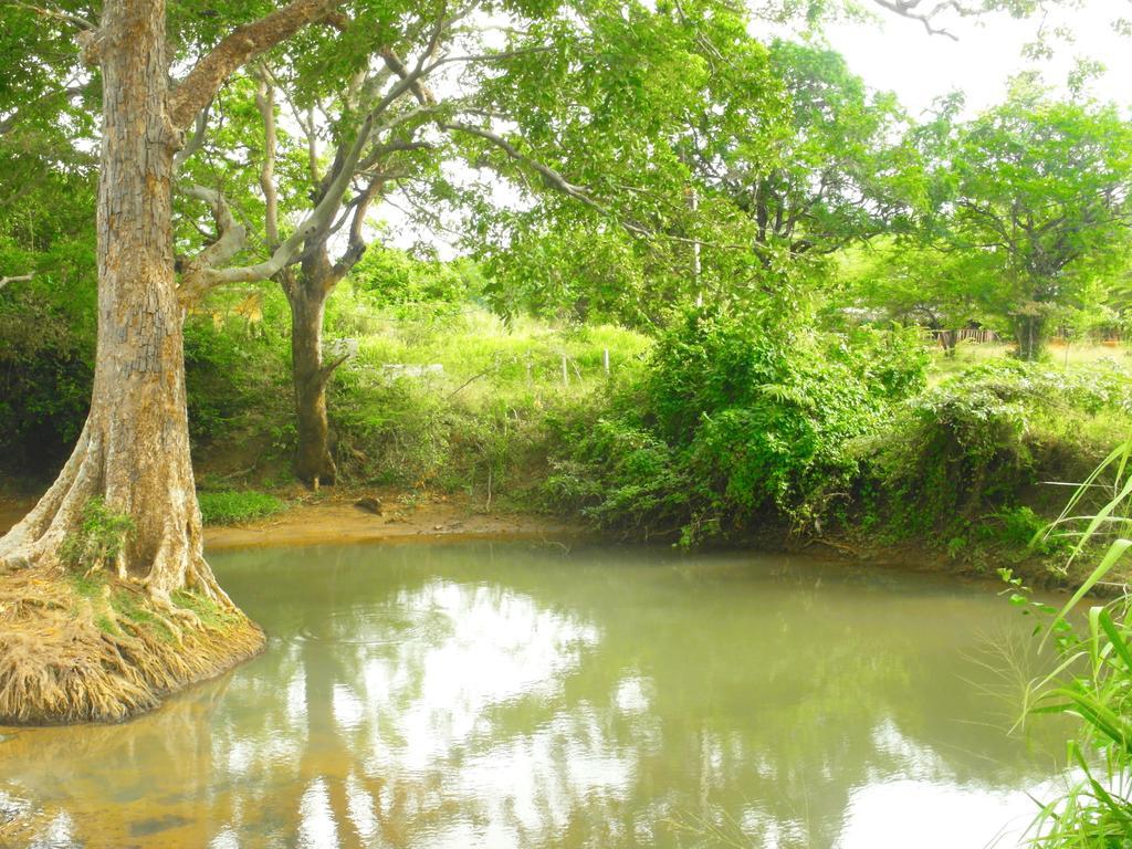 Sigiri Lakshan Home Stay Sigiriya Esterno foto