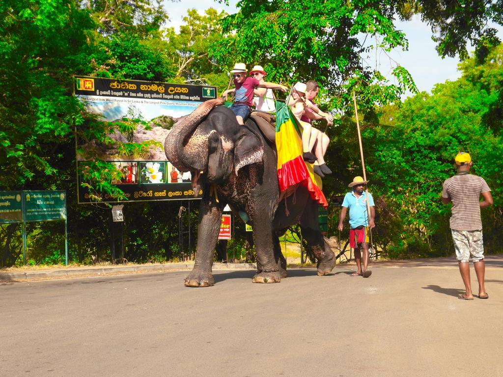 Sigiri Lakshan Home Stay Sigiriya Esterno foto