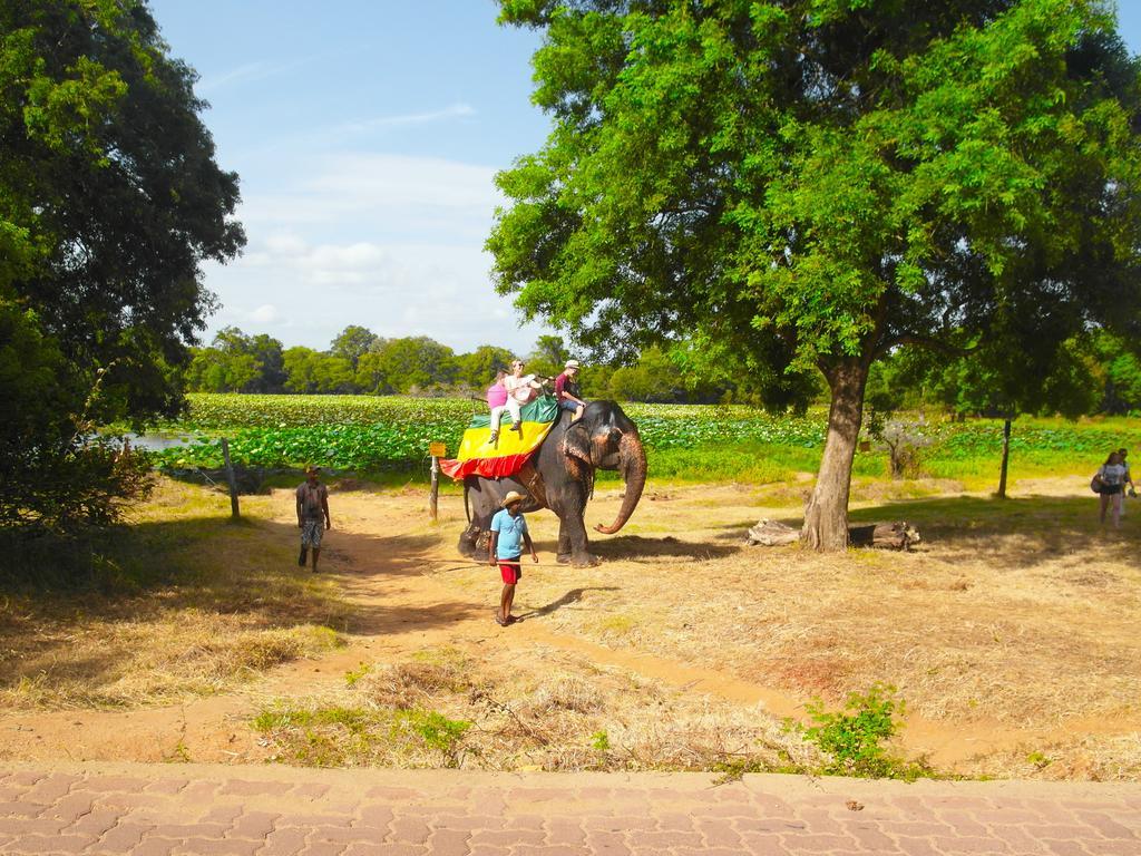 Sigiri Lakshan Home Stay Sigiriya Esterno foto